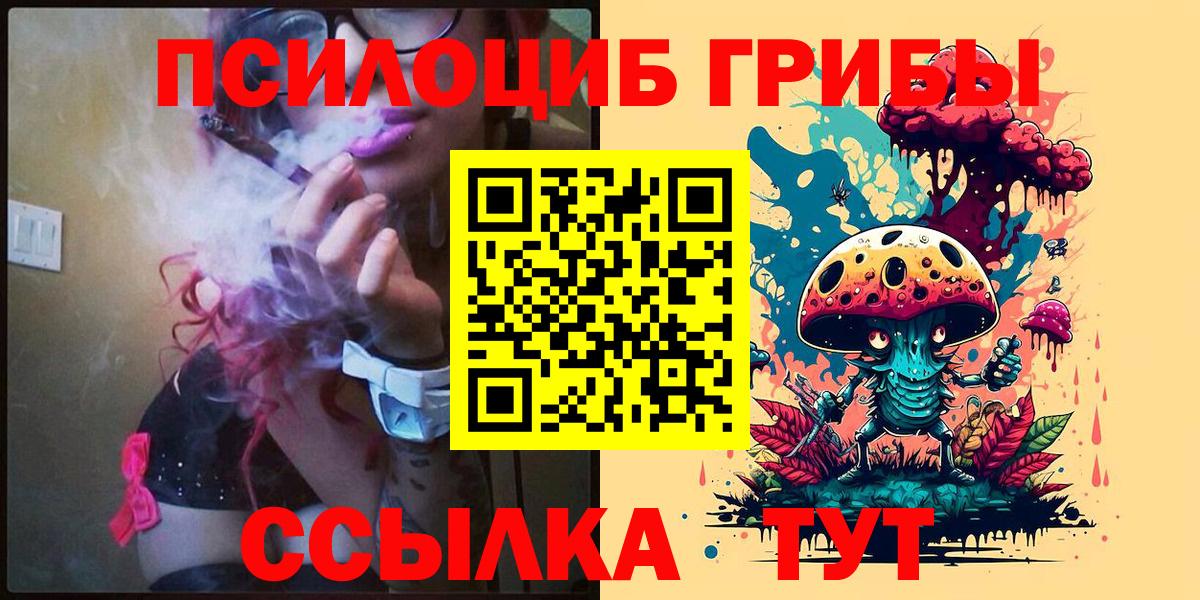 Кириши  что такое   Вход с VPN  Псилоцибиновые грибы MAGIC MUSHROOMS 